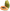 Олія папайї нераф. AROMA - ZONE (ориг.упаковка) 10мл